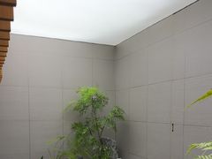 -鲁班张葱烧海参(马庄街店)