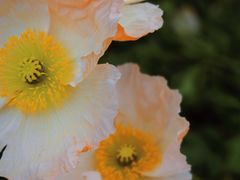 -名花谷生态庄园