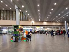 -谢列梅捷沃国际机场