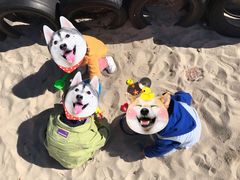 -云漫湖生态度假公园