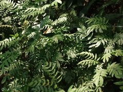 -云溪植物园