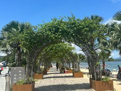 -大梅沙海滨公园