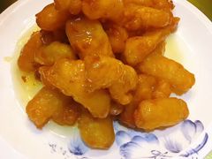 -阳灿酒楼(东苑小区店)