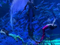 -波塞冬旅游度假区