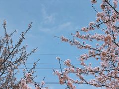 -西北湖绿化广场