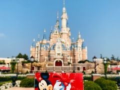 -上海迪士尼度假区