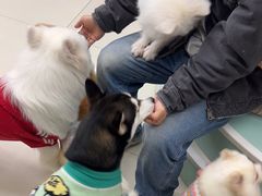 -怪兽屋·羊驼·猫咖·狗咖(俊华广场店)