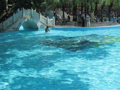 游泳池-宝墨园景区