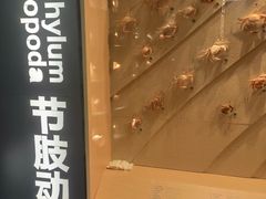 -中国湿地博物馆