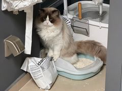 -守诺宠物医院·眼科· 神经外科·爬宠专科(虹口店)