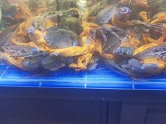 -金海湾海鲜排档(朱家尖店)