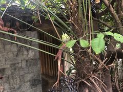 -张家港金凤凰度假村温泉