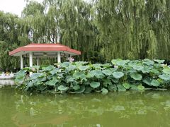 -丰台花园