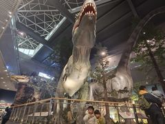 -湖南省地质博物馆