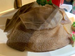 捞派精制毛肚-海底捞火锅(铁西万达店)