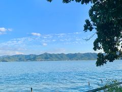 -晓琦农家菜馆·地道农家菜