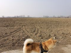 -瀛海足球主题公园