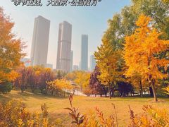 -大望京公园
