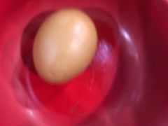 -食上东新街美食街区(民乐新都会店)