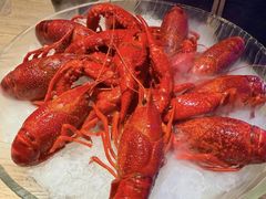 -红盔甲·小龙虾(天钥桥店)