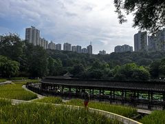 -龙头寺公园
