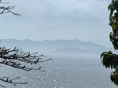 -深圳湾公园(南山区)