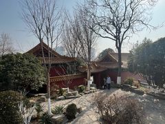 -戏马台景区