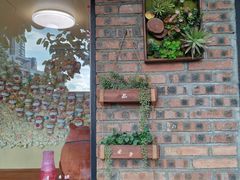 -柴犬高等学院·狗咖·柴犬售卖·宠物训练