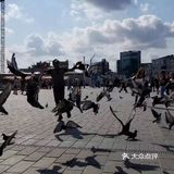 18th Aug.2017 横跨欧亚大陆滴全球最窄滴海