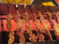 -邢氏老太太烤串(北兴街店)