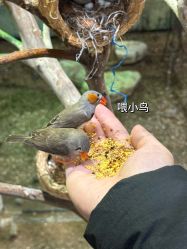 -Zoolung Zoolung动物主题公园(海信广场店)