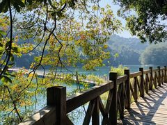 -广州市流溪河国家森林公园
