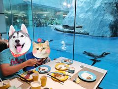 -帝企鹅自助餐厅•儿童岛•真企鹅(长隆企鹅酒店)