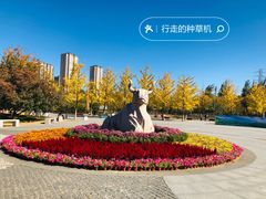 -永定河休闲森林公园