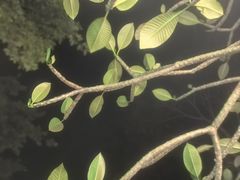 -台山颐和温泉城