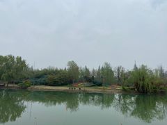 -泗洪洪泽湖湿地景区