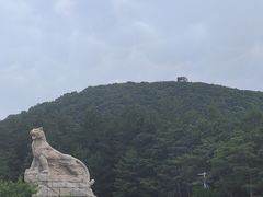 -帽儿山国家森林公园