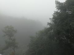 -少华山国家森林公园