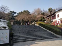 -伯先公园