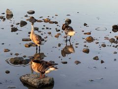 -海珠湖公园