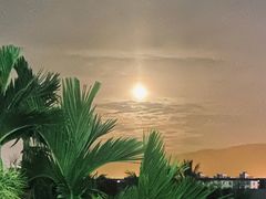 -日落吧·海景咖啡厅·餐酒吧·鸡尾酒·下午茶·乐队表演·浪漫夕阳·三亚文华东方酒店