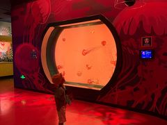 -沈阳海洋探索中心