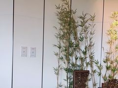 -羲和雅苑•北京烤鸭(乐园道万象城店)