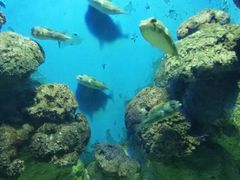 -福州罗源湾海洋世界旅游区