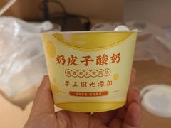 -紫光园(劲松店)