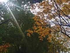 -武昌江滩