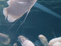 -合肥海洋世界