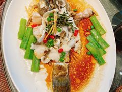 -猪肉婆私房菜(容桂总店)