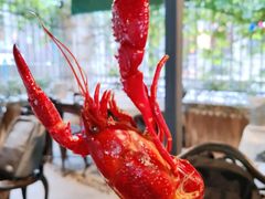 -巴厘龙虾·榜首油焖大虾(洞庭·艺术洋房店)