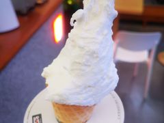 -野人先生Gelato(上海长宁龙之梦店)
